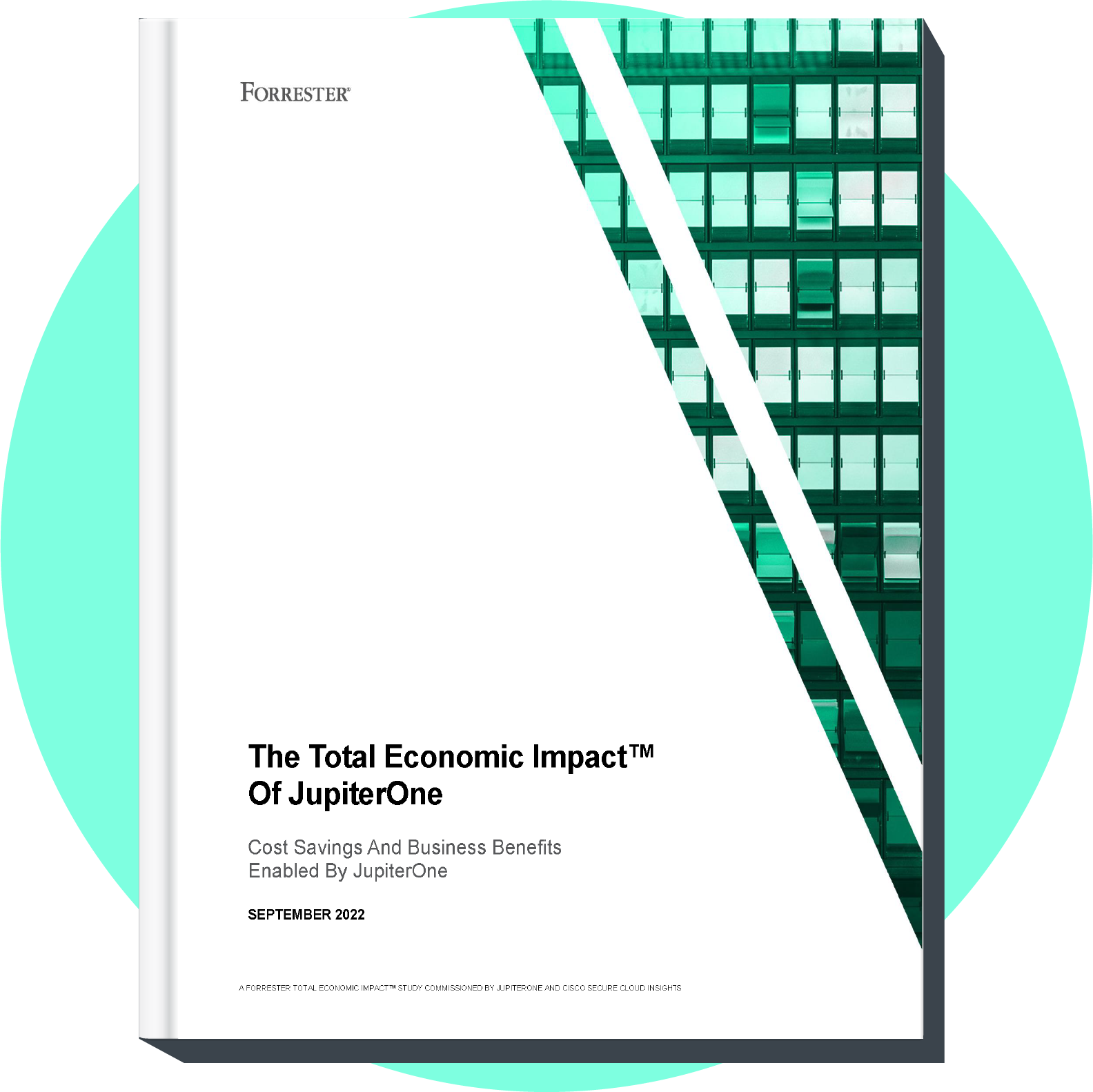 The Surprising Economic Impact Of Hampshire Pigs - cgoqhl2